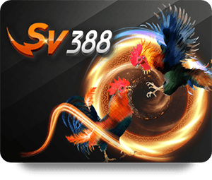 Đánh Giá Chất Lượng Dịch Vụ Tại FUN88 Sòng Bạc Vàng